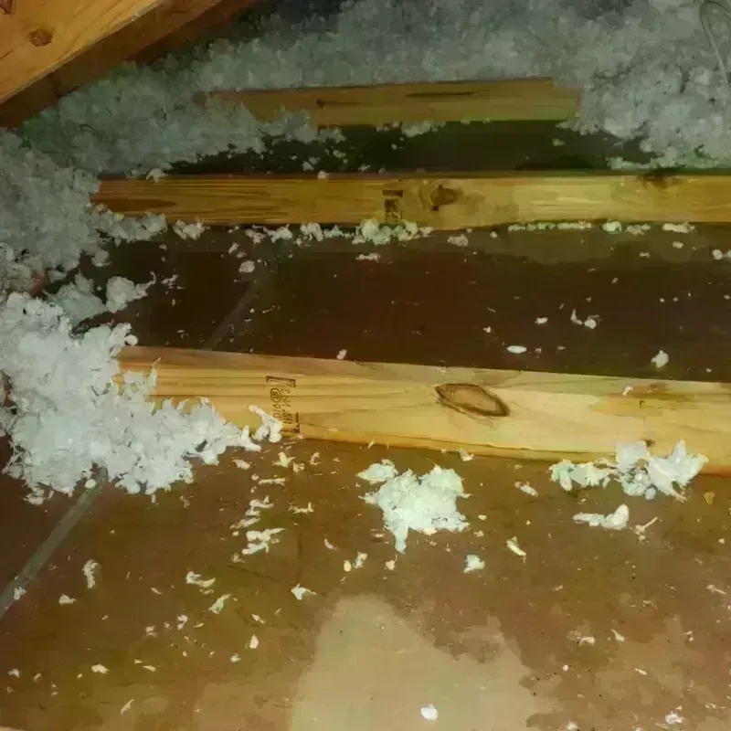 Attic Water Damage in Santa Barbara, PR